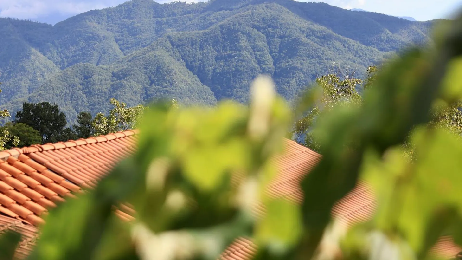 Agriturismo Montagna Verde Apella 0*, Licciana Nardi
